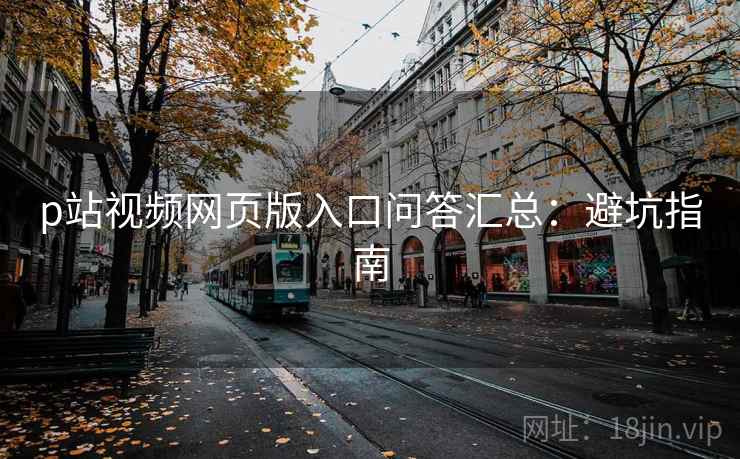 p站视频网页版入口问答汇总：避坑指南