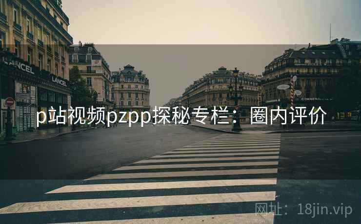 p站视频pzpp探秘专栏：圈内评价