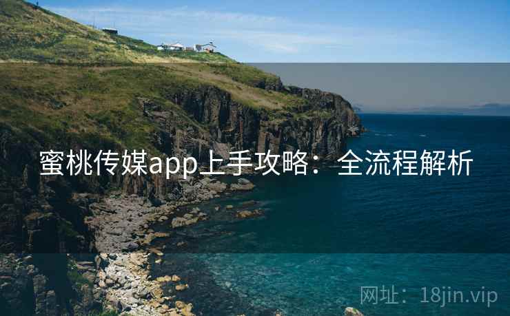 蜜桃传媒app上手攻略：全流程解析
