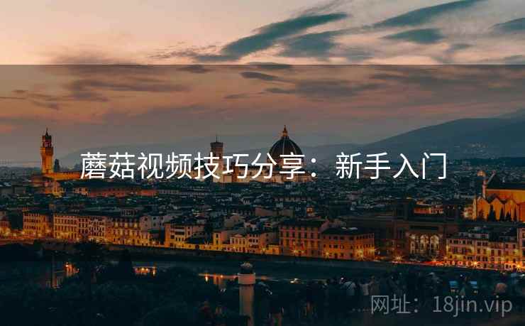 蘑菇视频技巧分享：新手入门