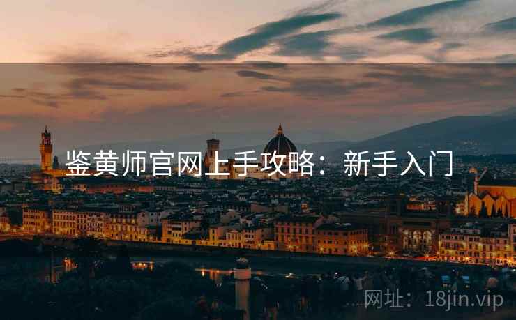 鉴黄师官网上手攻略：新手入门