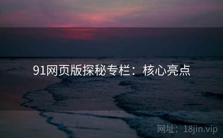 91网页版探秘专栏：核心亮点