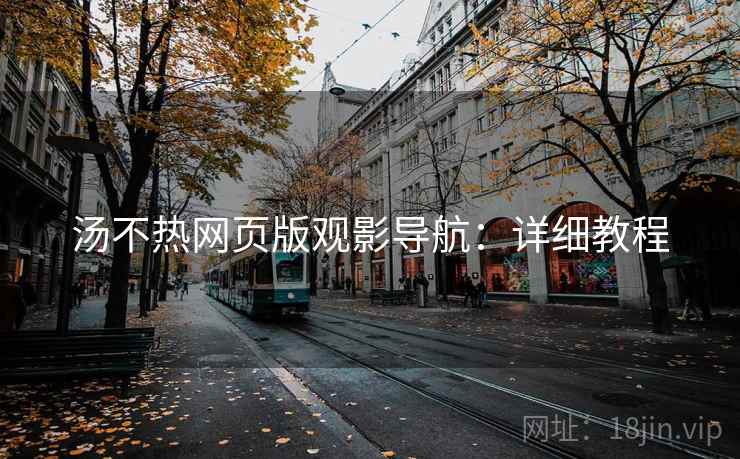 汤不热网页版观影导航：详细教程