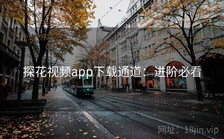 探花视频app下载通道：进阶必看