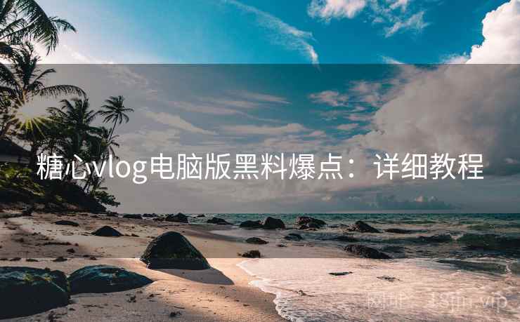 糖心vlog电脑版黑料爆点：详细教程